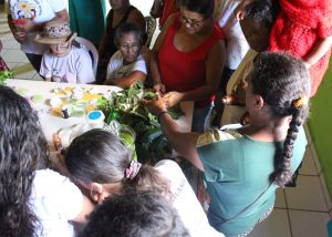 Professores- e- alunos- do- curso- de -Farmácia -do -CESMAC -realizam- ação -extensionista- em- Comunidade- Quilombolas -de -Água Branca- (34)