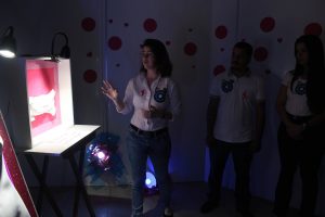 IMG_8661