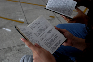 Varal- de -poemas- marca- Dia- da- Poesia- na- Rede- de -Bibliotecas- CESMAC-(10)
