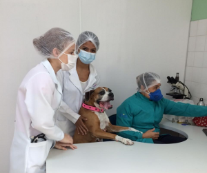 Clínica- Escola- de- Medicina- Veterinária- do -CESMAC- retoma- atendimentos- ao- público-(01)