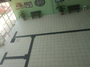 Clínica- Escola- de- Medicina- Veterinária- do -CESMAC- retoma- atendimentos- ao- público-(01)