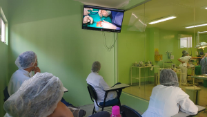Medicina -Veterinária -realiza- primeira- cirurgia -acompanhada -pelo- observatório- de- Práticas -Cirúrgicas-(9)