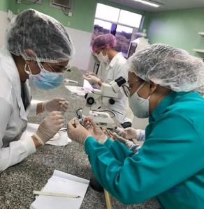 Semana- de- Nivelamento- Prático -Acadêmico -movimenta- graduação- de- Medicina -Veterinária- do- Cesmac- com- intensa- programação-(01)....