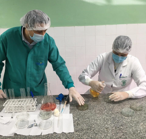 Semana- de- Nivelamento- Prático -Acadêmico -movimenta- graduação- de- Medicina -Veterinária- do- Cesmac- com- intensa- programação-(01)....