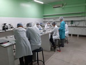 Semana- de- Nivelamento- Prático -Acadêmico -movimenta- graduação- de- Medicina -Veterinária- do- Cesmac- com- intensa- programação-(01)....