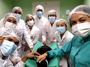 Semana- de- Nivelamento- Prático -Acadêmico -movimenta- graduação- de- Medicina -Veterinária- do- Cesmac- com- intensa- programação-(01)....