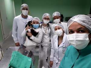 Semana- de- Nivelamento- Prático -Acadêmico -movimenta- graduação- de- Medicina -Veterinária- do- Cesmac- com- intensa- programação-(01)....