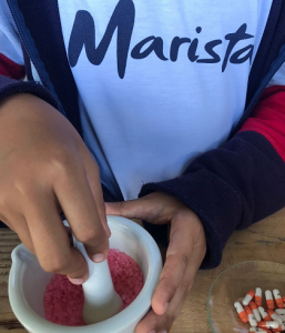 Curso- de- Farmácia- do- Cesmac- participa- da -Semana- Saúde- Marista- (15)