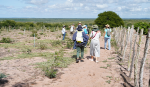 Pesquisadores- do- PPGASA- Cesmac- visitam- Centro- Xingó- e- Comunidade- Nova- Esperança- (6)