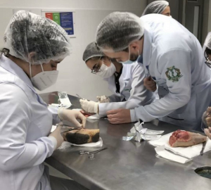 Reunião-apoio-discente-ca-medicina (7).