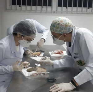 Reunião-apoio-discente-ca-medicina (7).