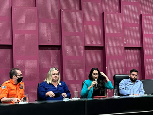 Workshop- de- Prevenção- a- Incêndios- e- Desastres- é- concluído- com- importantes- debates - (01)
