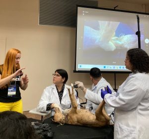 Medicina- Veterinária- do- Cesmac- participa- de -Congresso- Brasileiro- de-Anatomia-(25)
