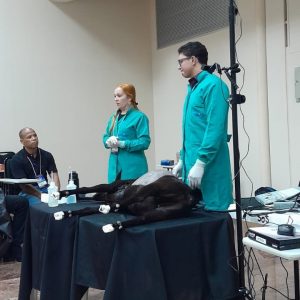 Medicina- Veterinária- do- Cesmac- participa- de -Congresso- Brasileiro- de-Anatomia-(25)