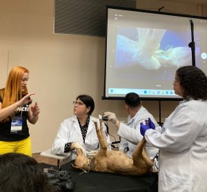 Medicina- Veterinária- do- Cesmac- participa- de -Congresso- Brasileiro- de-Anatomia-(25)