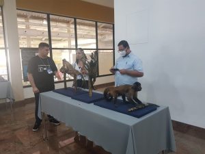 Medicina- Veterinária- do- Cesmac- participa- de -Congresso- Brasileiro- de-Anatomia-(25)