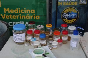 Medicina- Veterinária- do- Cesmac- participa- da- 72ª- EXPOAGRO- 2022-(12)