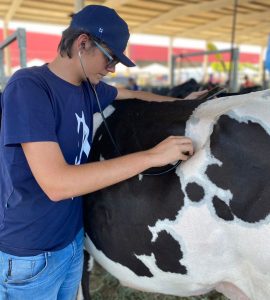 Medicina- Veterinária- do- Cesmac- participa- da- 72ª- EXPOAGRO- 2022-(12)