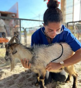 Medicina- Veterinária- do- Cesmac- participa- da- 72ª- EXPOAGRO- 2022-(12)