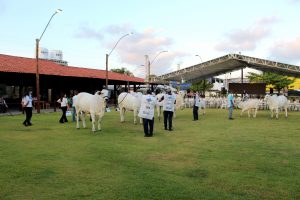 Medicina- Veterinária- do- Cesmac- participa- da- 72ª- EXPOAGRO- 2022-(12)