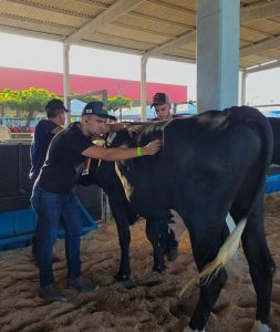 Medicina- Veterinária- do- Cesmac- participa- da- 72ª- EXPOAGRO- 2022-(12)