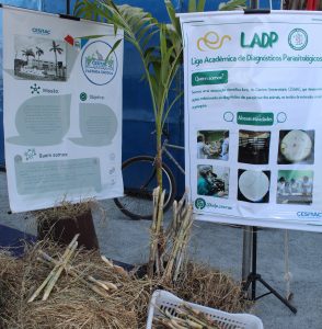 Medicina- Veterinária- do- Cesmac- participa- da- 72ª- EXPOAGRO- 2022-(12)