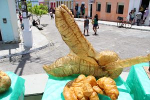 Medicina -Veterinária- Cesmac- promove- I -Anatomia -na- Praça-(23)