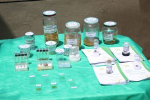 Medicina -Veterinária- Cesmac- promove- I -Anatomia -na- Praça-(23)