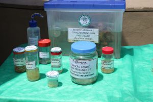 Medicina -Veterinária- Cesmac- promove- I -Anatomia -na- Praça-(23)