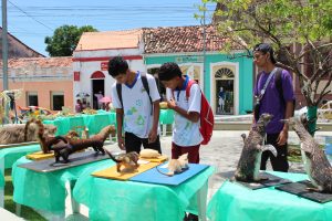 Medicina -Veterinária- Cesmac- promove- I -Anatomia -na- Praça-(23)