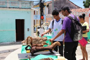 Medicina -Veterinária- Cesmac- promove- I -Anatomia -na- Praça-(23)