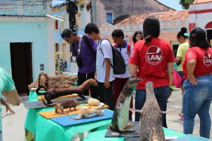Medicina -Veterinária- Cesmac- promove- I -Anatomia -na- Praça-(23)