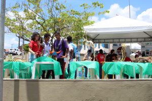 Medicina -Veterinária- Cesmac- promove- I -Anatomia -na- Praça-(23)