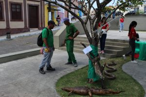 Medicina -Veterinária- Cesmac- promove- I -Anatomia -na- Praça-(23)