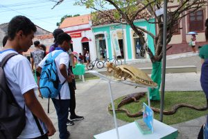 Medicina -Veterinária- Cesmac- promove- I -Anatomia -na- Praça-(23)