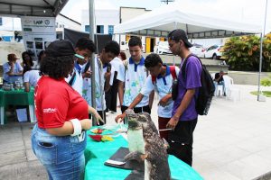 Medicina -Veterinária- Cesmac- promove- I -Anatomia -na- Praça-(23)