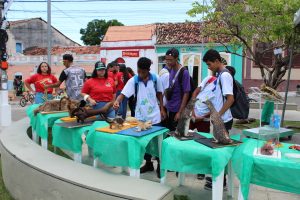 Medicina -Veterinária- Cesmac- promove- I -Anatomia -na- Praça-(23)