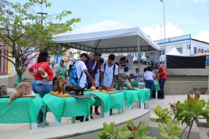 Medicina -Veterinária- Cesmac- promove- I -Anatomia -na- Praça-(23)