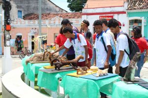 Medicina -Veterinária- Cesmac- promove- I -Anatomia -na- Praça-(23)