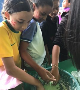 Projeto_Integrador_Fisoterapia_Cesmac (26)