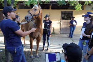 WhatsApp Image 2023-10-26 at 17.49.21 (8)