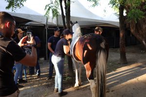 WhatsApp Image 2023-10-26 at 17.49.21 (8)