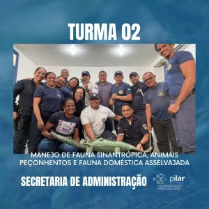 WhatsApp Image 2024-02-07 at 16.19.26