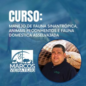 WhatsApp Image 2024-02-07 at 16.19.26