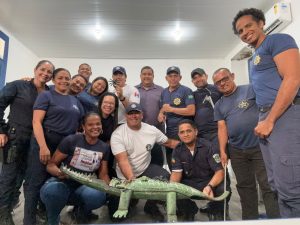 Professor do CESMAC Capacita Profissionais em Manejo de Fauna e Animais Peçonhentos em Alagoas