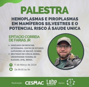 WhatsApp Image 2024-03-01 at 16.16.53