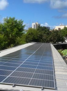 WhatsApp Image 2024-11-06 at 20.43.32