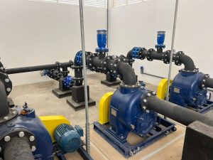 WhatsApp Image 2024-12-04 at 11.49.02