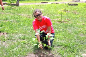 d504c216-68d6-46ea-a519-d01229776097