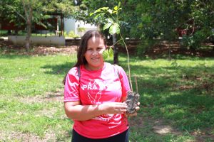 d504c216-68d6-46ea-a519-d01229776097